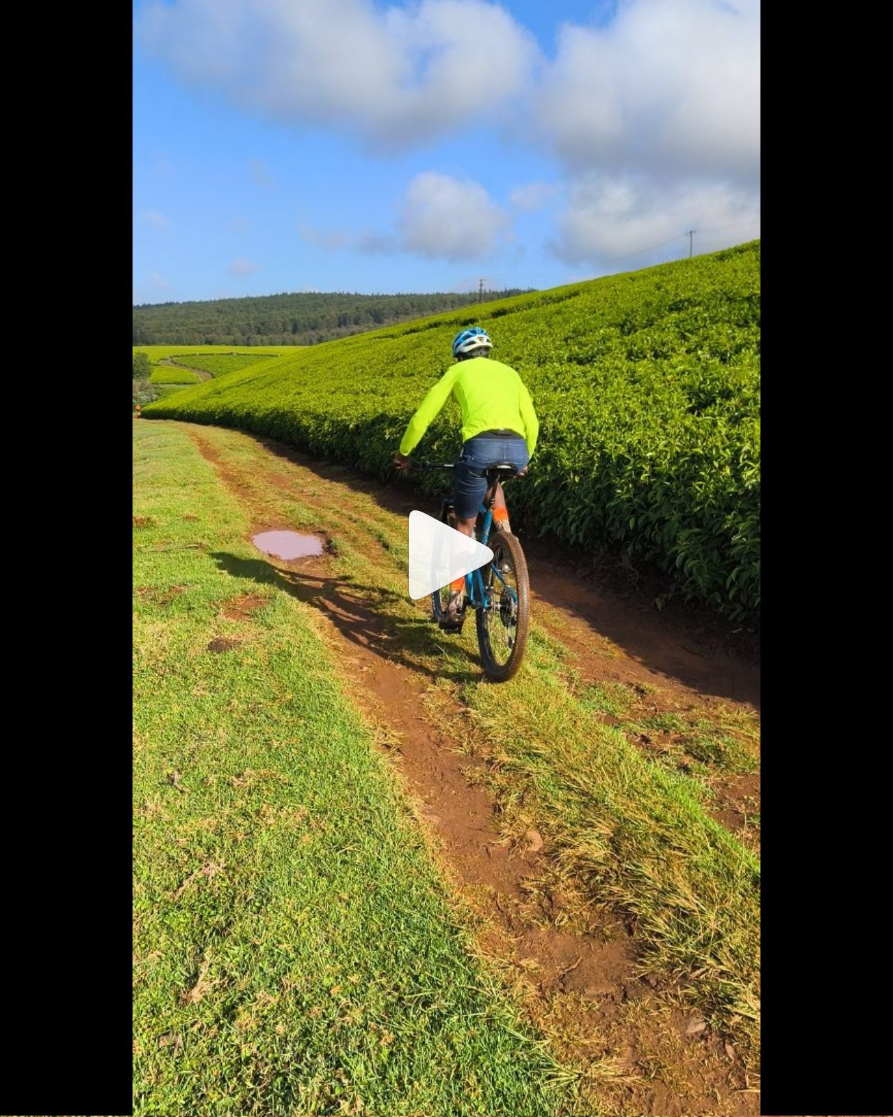 Mountain biking reel